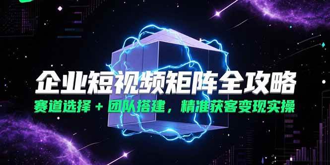(15242期)企业短视频矩阵全攻略,赛道选择+团队搭建,精准获客变现实操-韬哥副业项目资源网