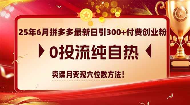 （14989期）25年6月拼多多最新日引300 付钱自主创业粉，0投流纯自然 购买课程月转现六位数方式-韬哥副业项目资源网