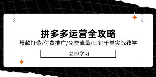 (15085期)拼多多运营全攻略,爆款打造/付费推广/免费流量/日销千单实战教学/6月更新-韬哥副业项目资源网