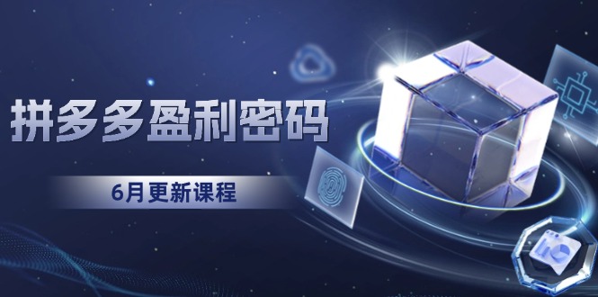 (15005期)拼多多盈利密码:从烧钱推广到印钞模型,底层逻辑重构指南(6月更新)-韬哥副业项目资源网