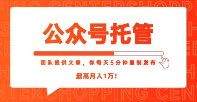 (15109期)【公众号托管 】我提供文章,你每天5分钟复制发布,最高月入1W-韬哥副业项目资源网