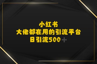 小红书，大佬都在用的大粉平台，日引流500+-韬哥副业项目资源网