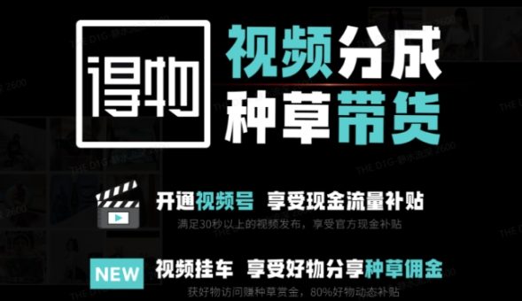 外边卖去1980得物双通道内存游戏玩法新项目拆卸,3-7天一个养号周期时间,每月最低有3k – 5k【揭密】-韬哥副业项目资源网