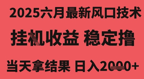 2025六月最新风口技术,无人挂G撸礼物,长期稳定 一个小时收益2k+,小白当天拿结果【揭秘】-韬哥副业项目资源网