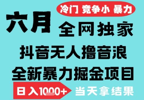 2025年6月高爆抖音无人直播最新撸音浪掘金项目,无脑日入1k+,低门槛小白可做,可矩阵放大【揭秘】-韬哥副业项目资源网