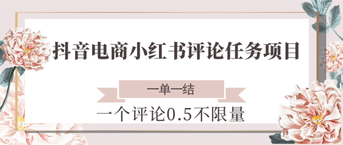 抖音电商小红书评论任务项目,一个评论0.5,一单一结 不限量-韬哥副业项目资源网