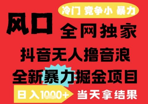 25年6月高爆抖音无人直播最新撸音浪掘金项目,解放双手小白可做,无脑日入1k+,门槛低【揭秘】-韬哥副业项目资源网
