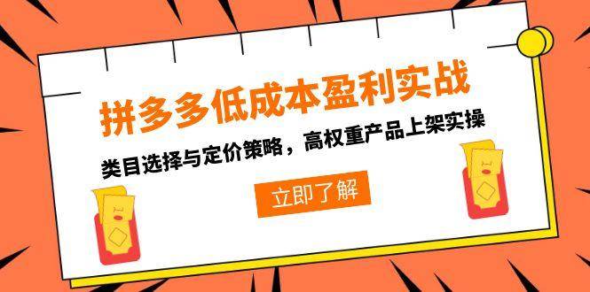 （15143期）拼多多低成本盈利实战，类目选择与定价策略，高权重产品上架实操-韬哥副业项目资源网