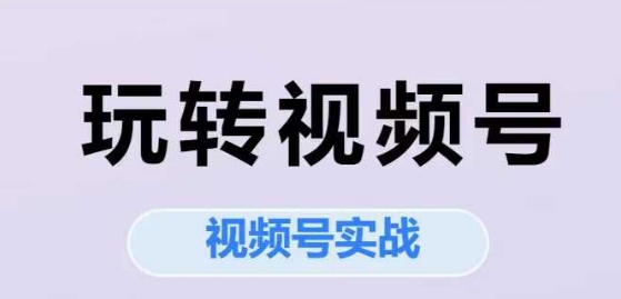 玩转视频号，视频号实战系列课-韬哥副业项目资源网