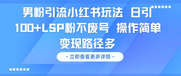 男粉引流小红书玩法，日引100+LSP粉不废号，操作简单，变现路径多-韬哥副业项目资源网