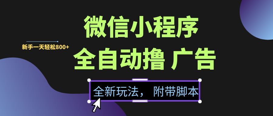 （15134期）微信小程序挂机撸广告，全新玩法，新手一天轻松800+【附带脚本】-韬哥副业项目资源网