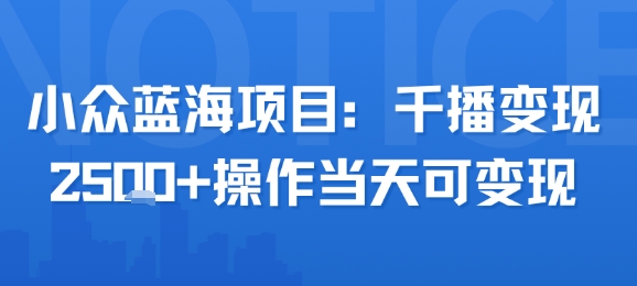 小众蓝海项目，千播变现2.5k+操作当天可变现-韬哥副业项目资源网