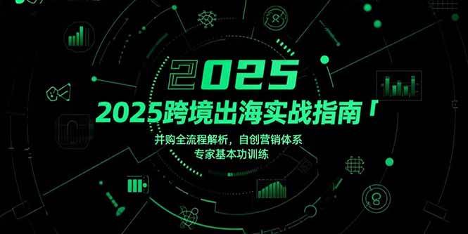 (15503期)2025跨境出海实战指南,并购全流程解析,自创营销体系,专家基本功训练-韬哥副业项目资源网
