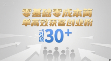 零基础零成本简单高效获客创业粉，一天引流30+-韬哥副业项目资源网
