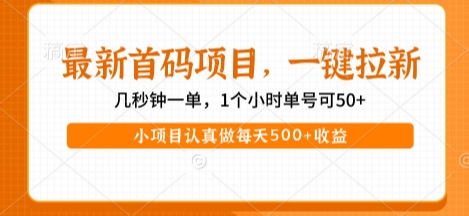 最新首码项目，操作最简单，收益高，一键拉新，1个小时单号可50+，小项目认真做每天5张+收益【揭秘】-韬哥副业项目资源网