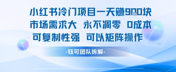 小红书冷门项目一天收益9张，市场需求大，0成本，可复制性强可以矩阵操作-韬哥副业项目资源网