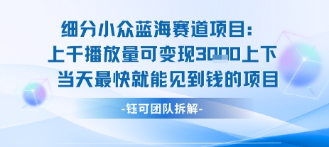 小众蓝海赛道项目：当天变现1k+适合新手操作 +适合长期玩-韬哥副业项目资源网