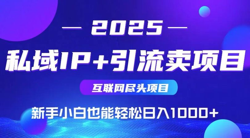 (15531期)2025网创尽头项目,私域IP+引流,新手小白也能在家日入1000+-韬哥副业项目资源网