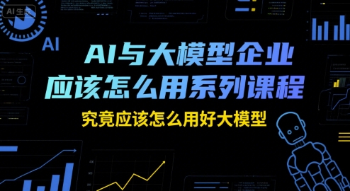 AI与大模型企业应该怎么用系列课程，究竟应该怎么用好大模型-韬哥副业项目资源网