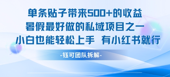 单条贴子带来5张的收益，暑假最好做的私域项目之一，小白也能轻松上手，有小红书就行-韬哥副业项目资源网