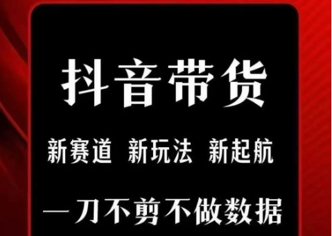 抖音短视频一刀不剪带货，不剪辑，不直播，每天发个视频，等着出单获取带货佣金-韬哥副业项目资源网