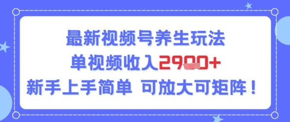 视频号养生玩法,单视频收入2.9k,新手上手简单-韬哥副业项目资源网