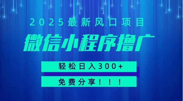 微信小程序撸广,最新风口项目,日入300+ 免费分享 可批量操作 小白可轻松上手!!-韬哥副业项目资源网