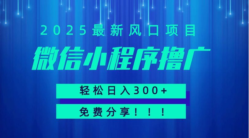 微信小程序撸广，最新风口项目，日入300+ 免费分享 可批量操作 小白可轻松上手！！-韬哥副业项目资源网