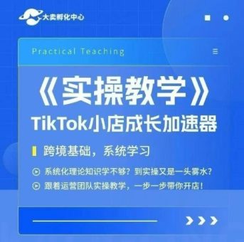 大卖家孵化中心TikTok实操课,TikTok小店成长加速器,跨境基础系统学习,一步一步带你开店-韬哥副业项目资源网