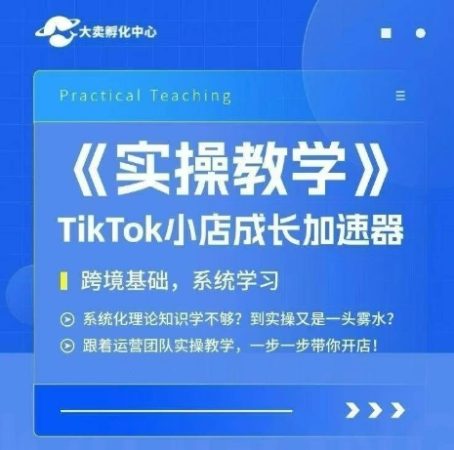 大卖家孵化中心TikTok实操课,TikTok小店成长加速器,跨境基础系统学习,一步一步带你开店-韬哥副业项目资源网