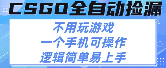 CSGO自动捡漏项目,最新独家玩法,不用挂G不用玩游戏,一个手机即可操作,新手小白轻松月入1W+【揭秘】-韬哥副业项目资源网