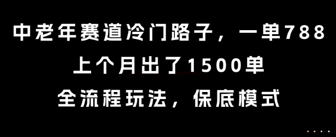 中老年赛道冷门路子，一单788，上个月出了1500单，全流程玩法，保底模式【揭秘】-韬哥副业项目资源网