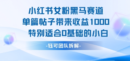 小红书女粉黑马赛道单篇帖子带来收益1k+，特别适合0基础的小白-韬哥副业项目资源网
