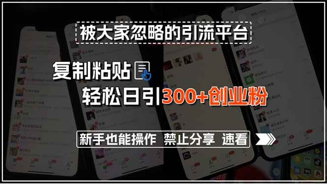 （15428期）被大家忽略的引流平台，复制粘贴轻松日引300+创业粉，新手也能操作，禁…-韬哥副业项目资源网
