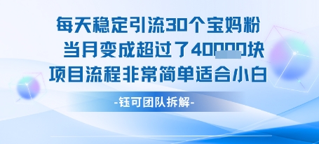每天稳定引流30个人 当月变成超过了4个W项目流程非常简单适合小白-韬哥副业项目资源网