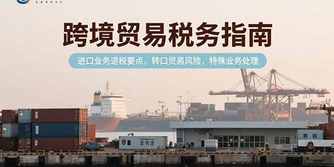 （15381期）跨境贸易税务指南，进口业务退税要点，转口贸易风险，特殊业务处理-韬哥副业项目资源网