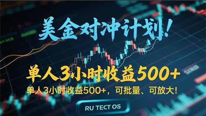 （15321期）长久稳定的撸美金项目，平均3小时收入 500+，可公司实地考察实地操作！-韬哥副业项目资源网
