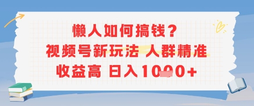 懒人如何搞钱？视频号新玩法，人群精准收益高，日入多张-韬哥副业项目资源网