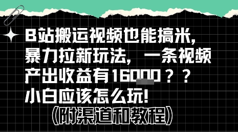 b站掘金计划？搬运视频也能挣拉新的收益，小白应该怎么玩！-韬哥副业项目资源网
