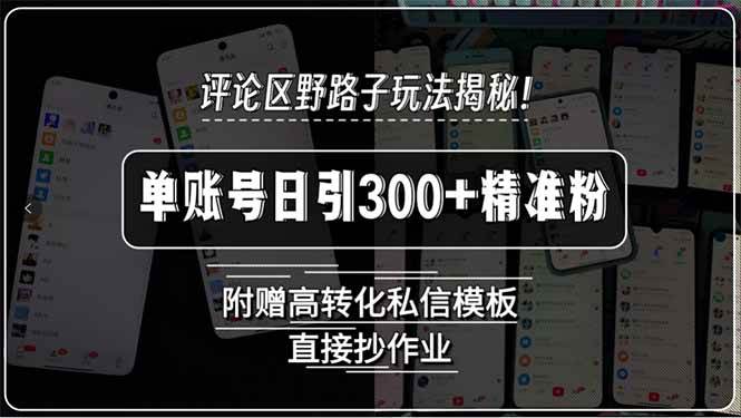 (15466期)评论区野路子玩法揭秘!单账号日引300+精准粉,附赠高转化私信模板,直…-韬哥副业项目资源网