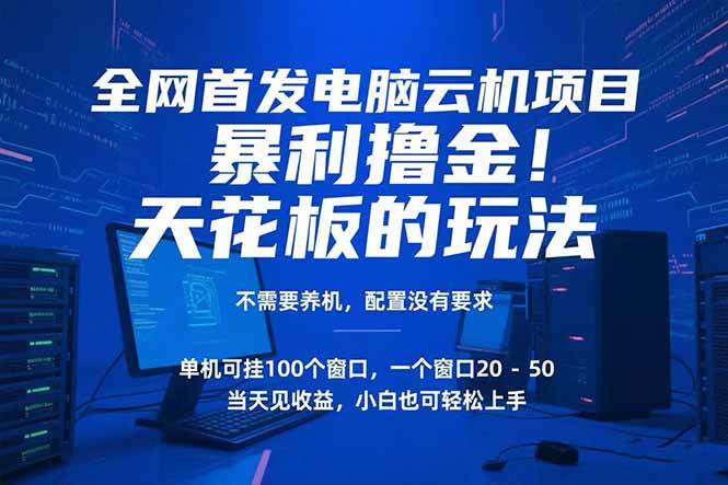 (15323期)电脑云机项目 暴力撸金玩法,不需要养机 配置没有要求 单机100个窗口一…-韬哥副业项目资源网