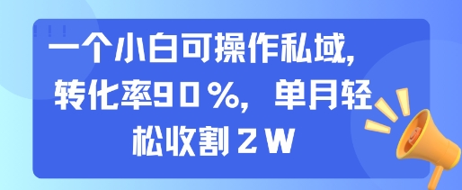 一个小白可操作私域，转化率90%，单月轻松收割2W-韬哥副业项目资源网