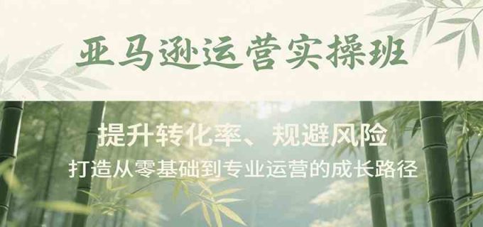 亚马逊运营实操班,提升转化率、规避风险,打造从零基础到专业运营的成长路径-韬哥副业项目资源网