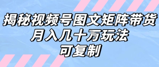 解密视频号图文矩阵带货,月入几个W的打法,可复制-韬哥副业项目资源网