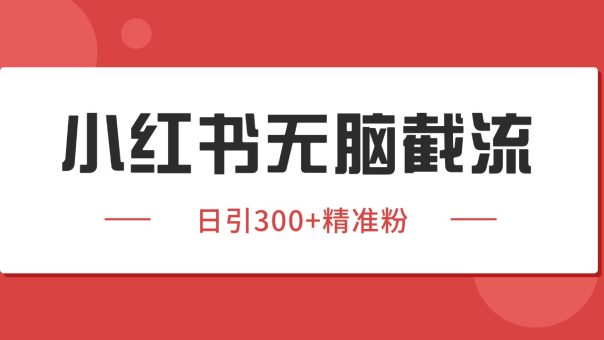 小红书截流同行客源，独家野路子获客玩法 日引200+暴力获客-韬哥副业项目资源网