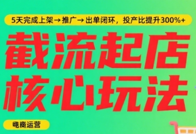 淘宝截流快速起店玩法，掌握暴力快速起店的流程，5天完成上架-推广-出单闭环-韬哥副业项目资源网