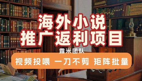海外小说推广返利项目，视频投喂， 一刀不剪，矩阵批量-韬哥副业项目资源网