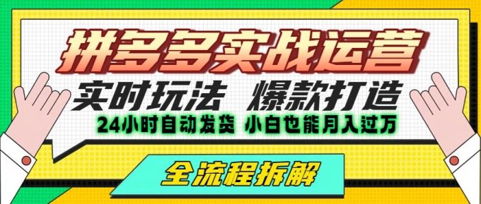 拼多多最新实战运营高投产:长久稳定项目,单店利润一天三位数-韬哥副业项目资源网