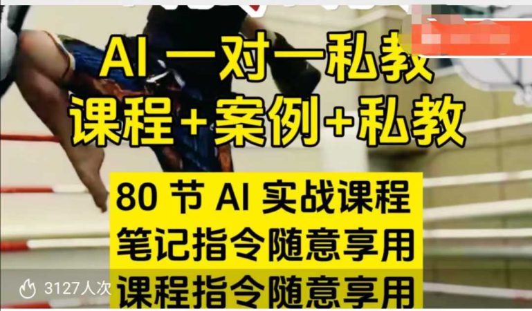 AI指令实战课，课程+案例，80节AI实战课程，笔记指令随意享用，课程指令随意享用（更新7月）-韬哥副业项目资源网