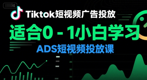Tiktok短视频广告投放，适合0-1小白学习ADS短视频投放课-韬哥副业项目资源网